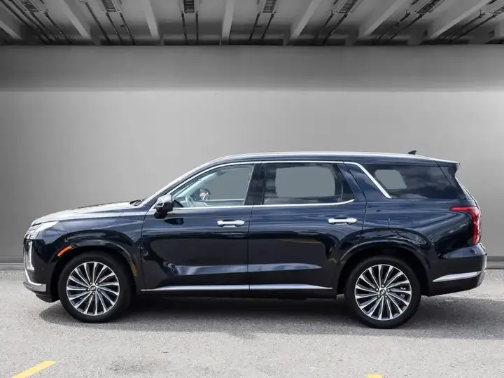 Hyundai Palisade 2023 photo 3