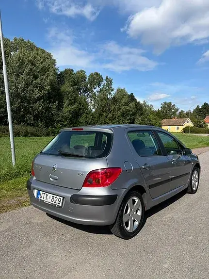 Peugeot 307 2004 photo 3