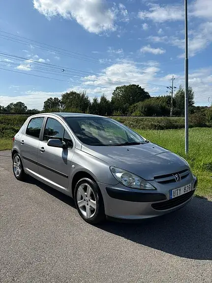 Peugeot 307 2004 photo 2