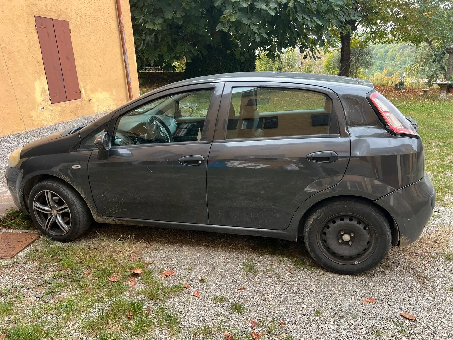 Fiat Punto