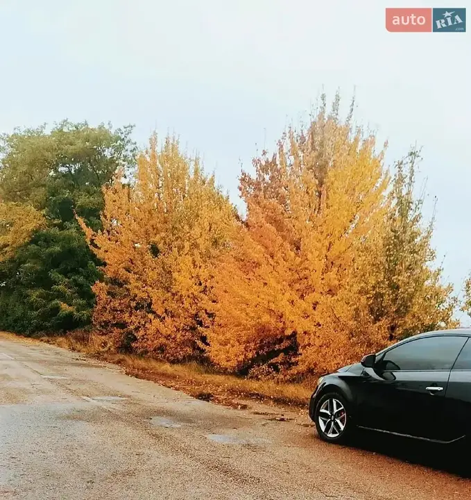 Kia Cerato 2011 photo 4