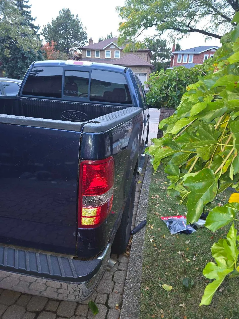 Ford F-150 2006 photo 3