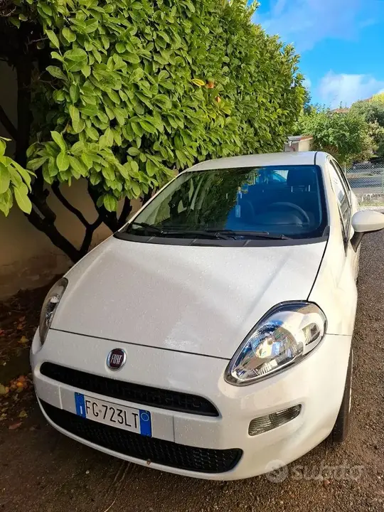 Fiat Punto