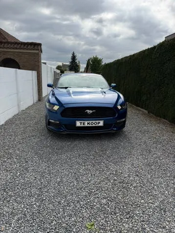 Ford Mustang 2017 photo 3