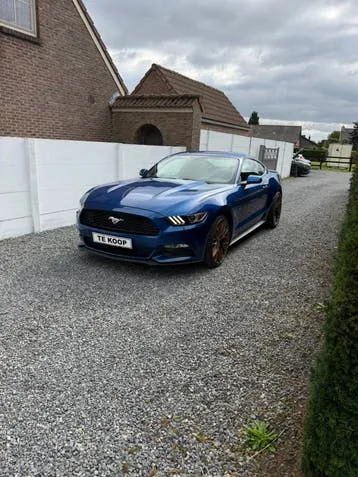Ford Mustang 2017 photo 2