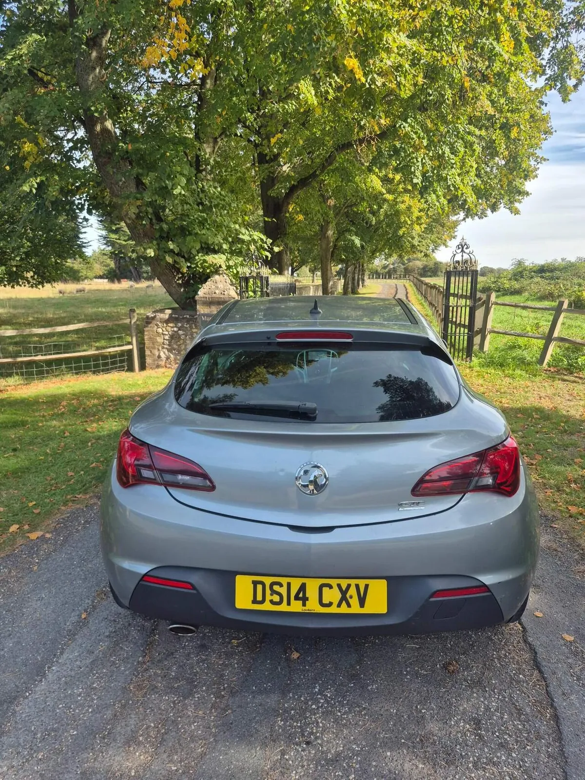 Vauxhall Astra Gtc 2014 photo 5