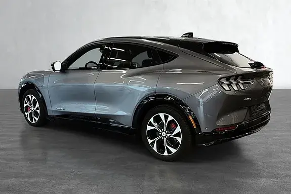 Ford Mustang Mach-E 2021 photo 3