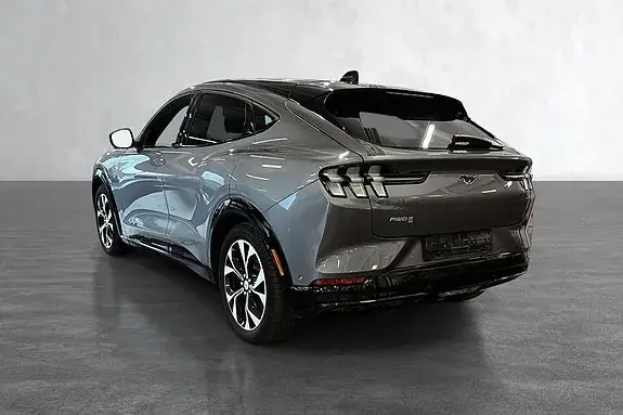Ford Mustang Mach-E 2021 photo 4