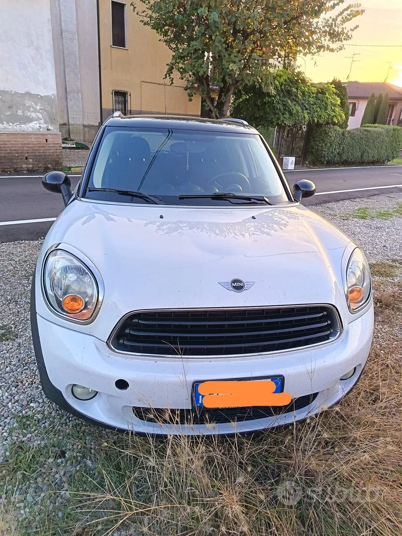 Mini Mini Countryman