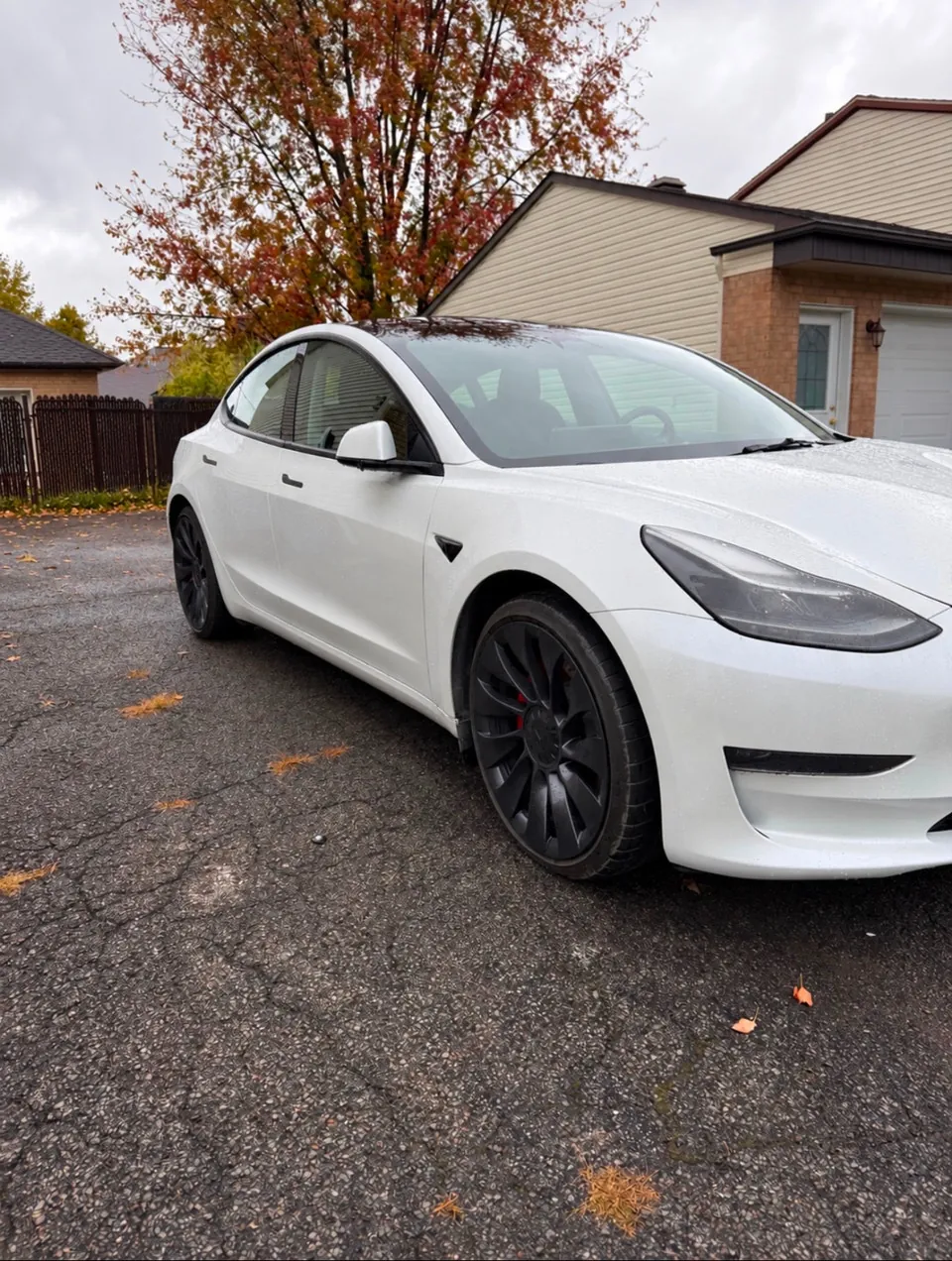 Tesla Model 3 2023 photo 2