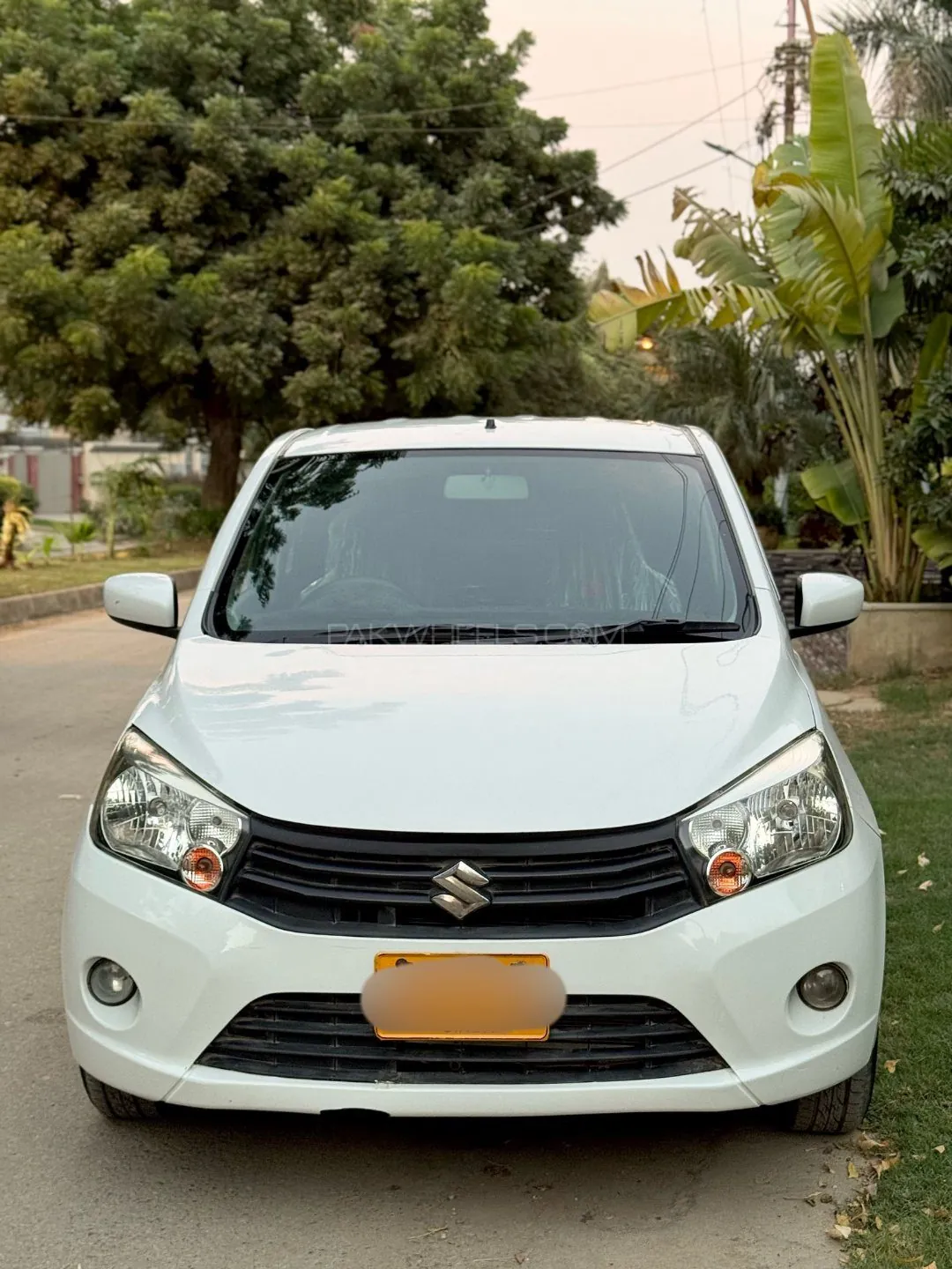 Suzuki Cultus