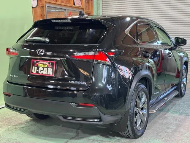 Lexus Nx300H 2017 photo 2