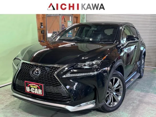 Lexus Nx300H