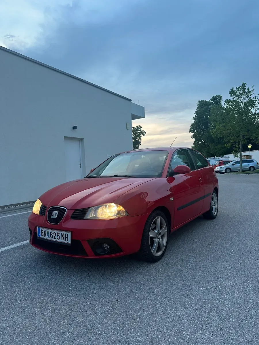 Seat Ibiza 2006 photo 2