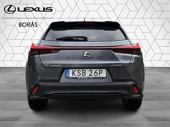 Lexus Ux300H 2025 photo 4