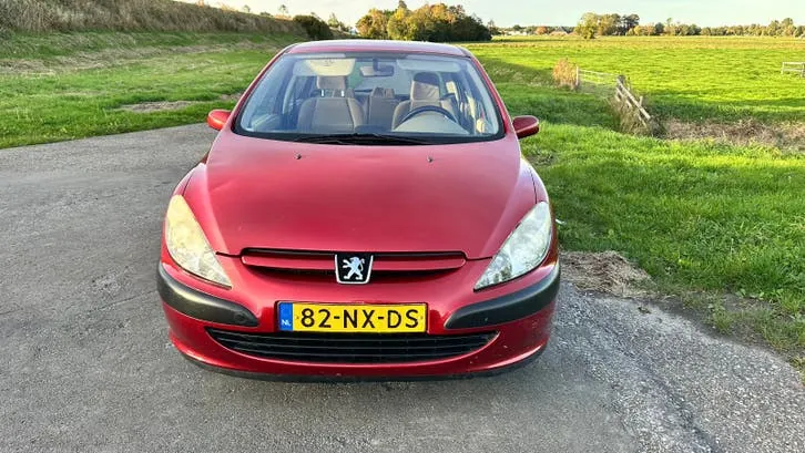 Peugeot 307