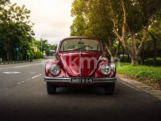 Volkswagen Beetle