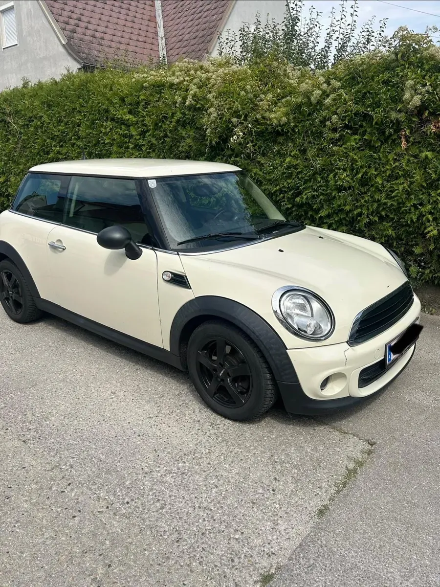 Mini Mini One