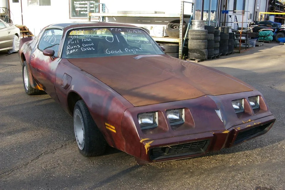 Pontiac Trans Am 1981 photo 3