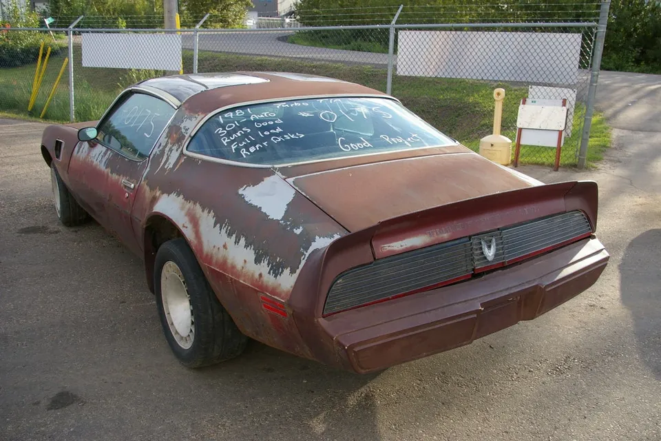 Pontiac Trans Am 1981 photo 5