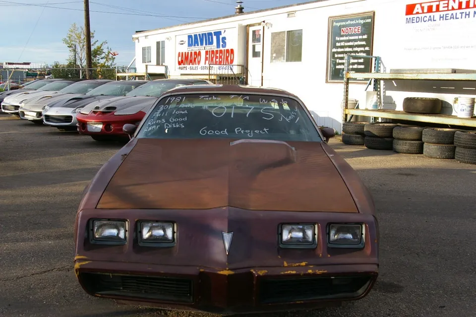 Pontiac Trans Am 1981 photo 2