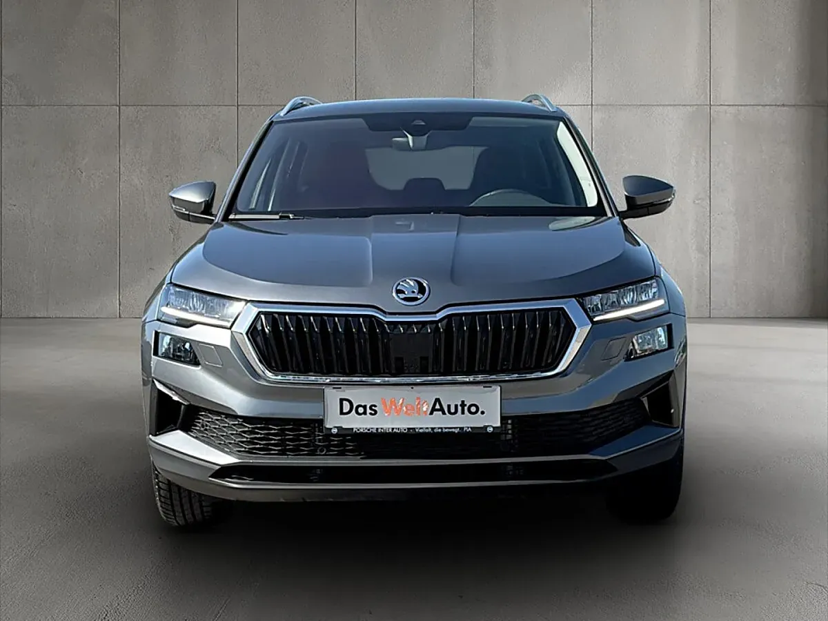 Skoda Karoq 2024 photo 2