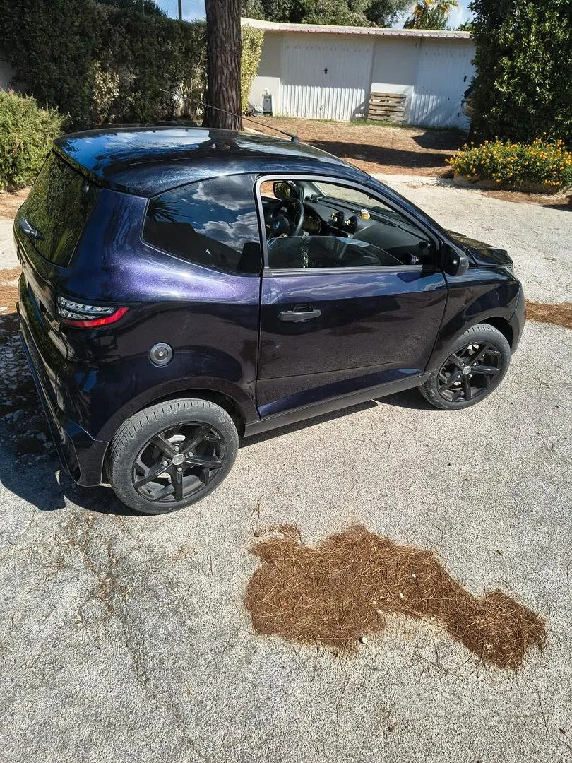 Aixam Sport
