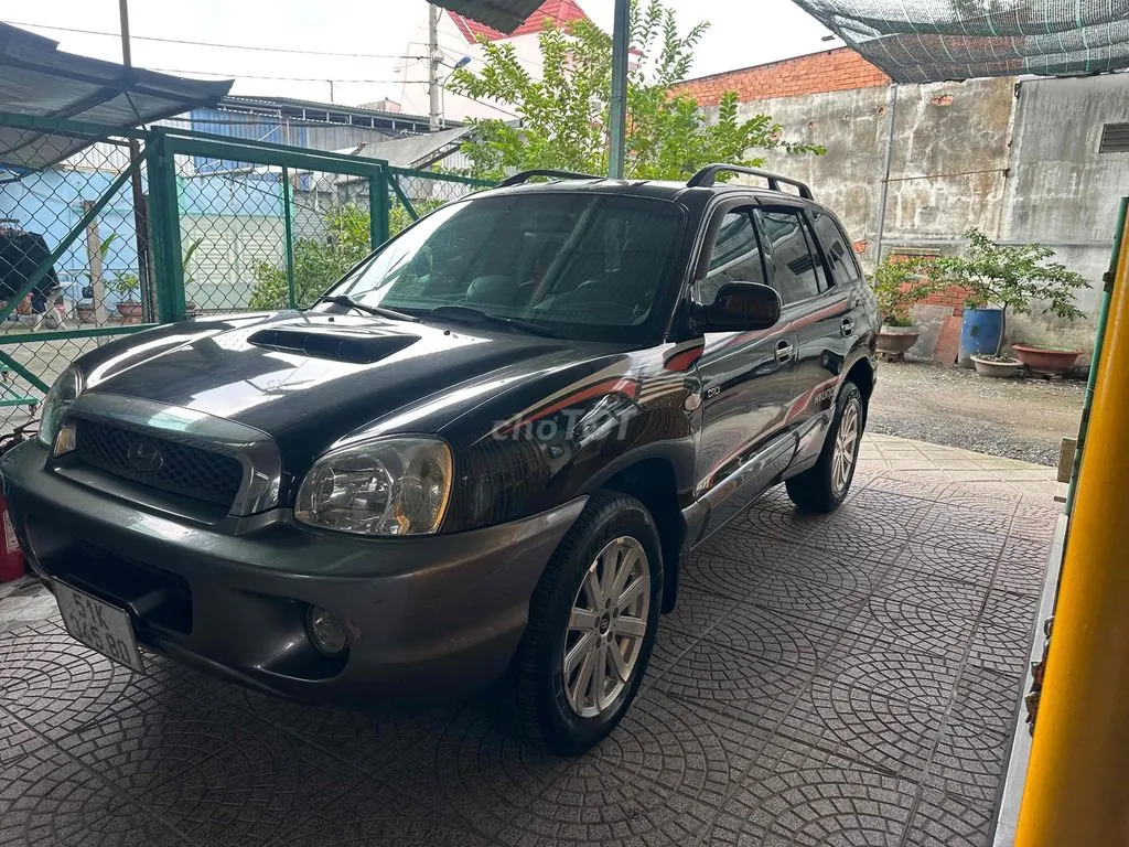 Hyundai Santa Fe 2002 photo 2