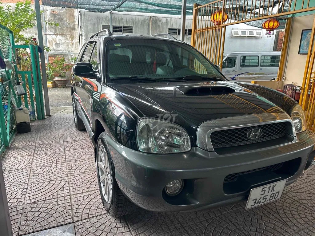Hyundai Santa Fe 2002 photo 3