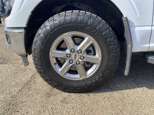 Ford F-150 2024 photo 3