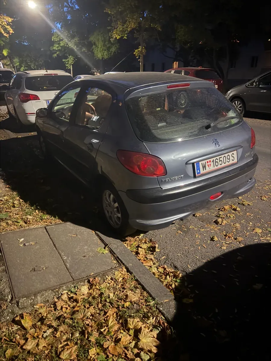 Peugeot 206 2005 photo 3