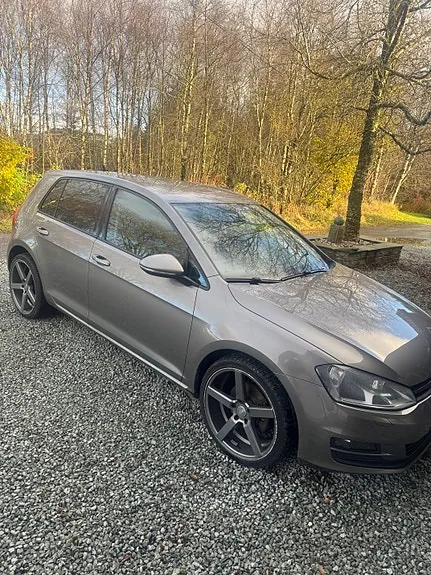 Volkswagen Golf Vii 2013 photo 2