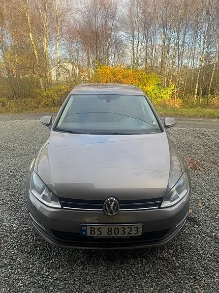 Volkswagen Golf Vii 2013 photo 3