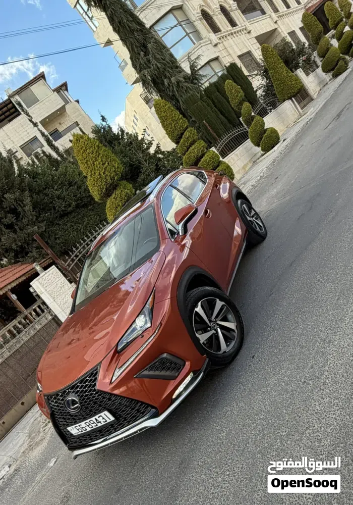 Lexus Nx 300H 2021 photo 3