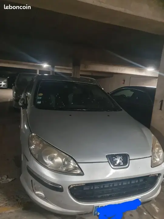Peugeot 407 2004 photo 2