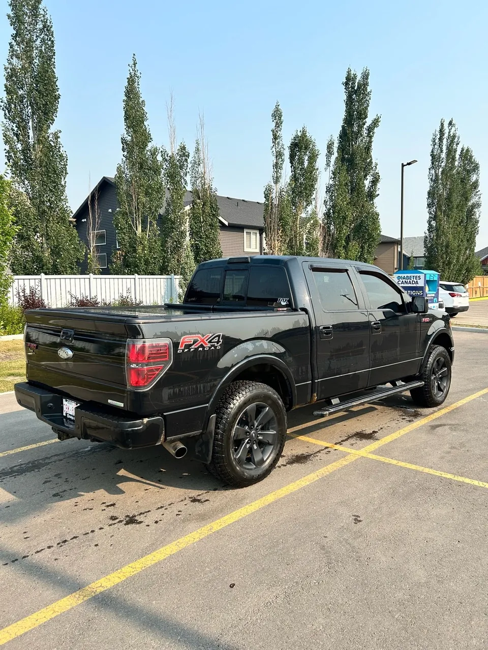 Ford F-150 2013 photo 3