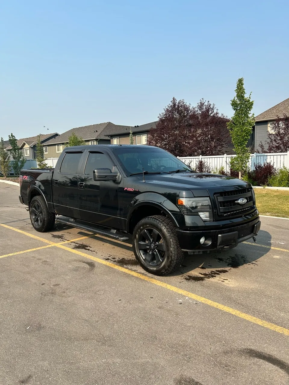 Ford F-150 2013 photo 4