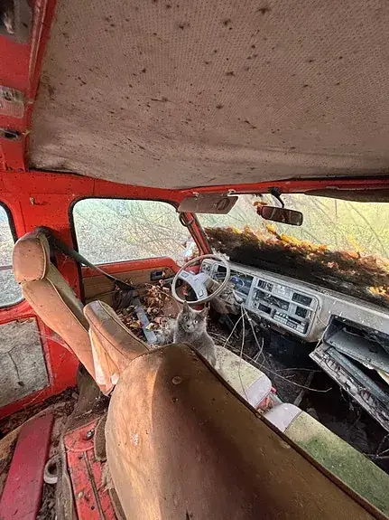 Isuzu Other 1983 photo 4