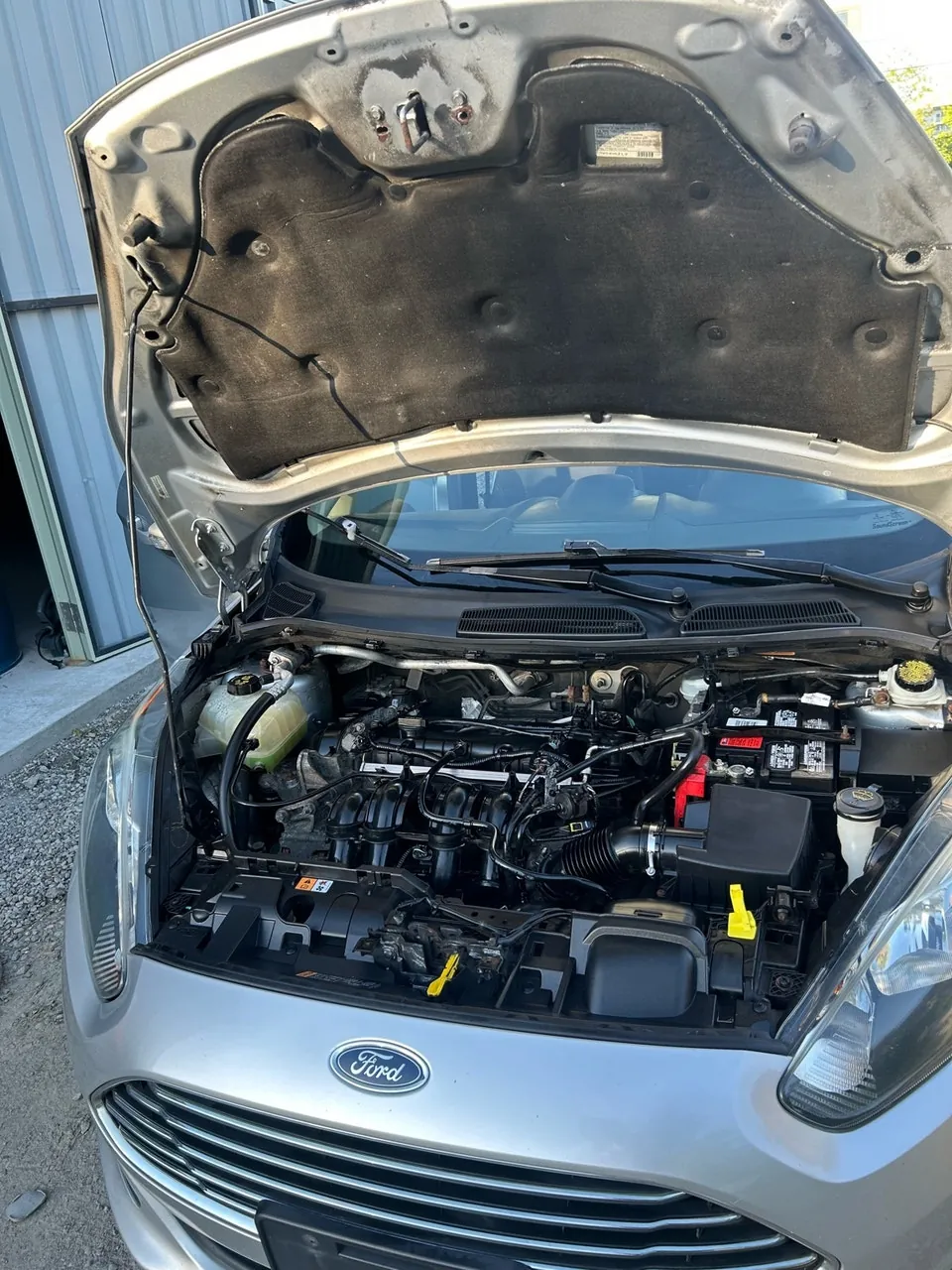 Ford Fiesta 2015 photo 3