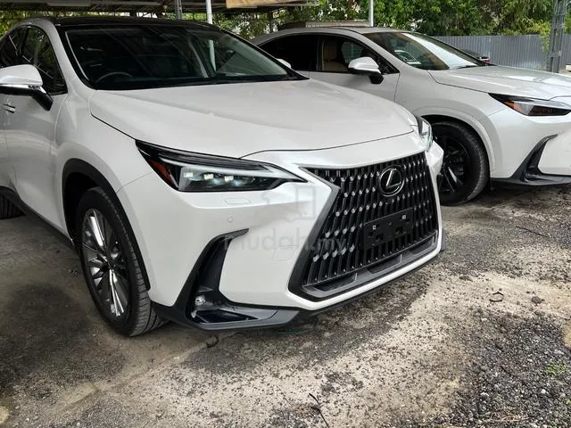 Lexus Nx 250
