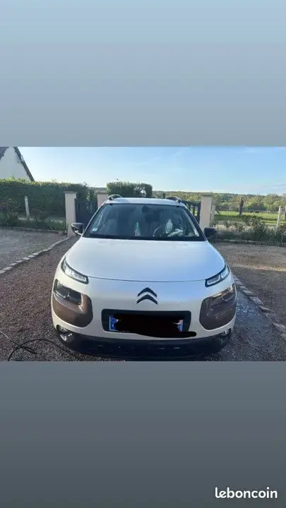 Citroen C4 Cactus 2015 photo 2