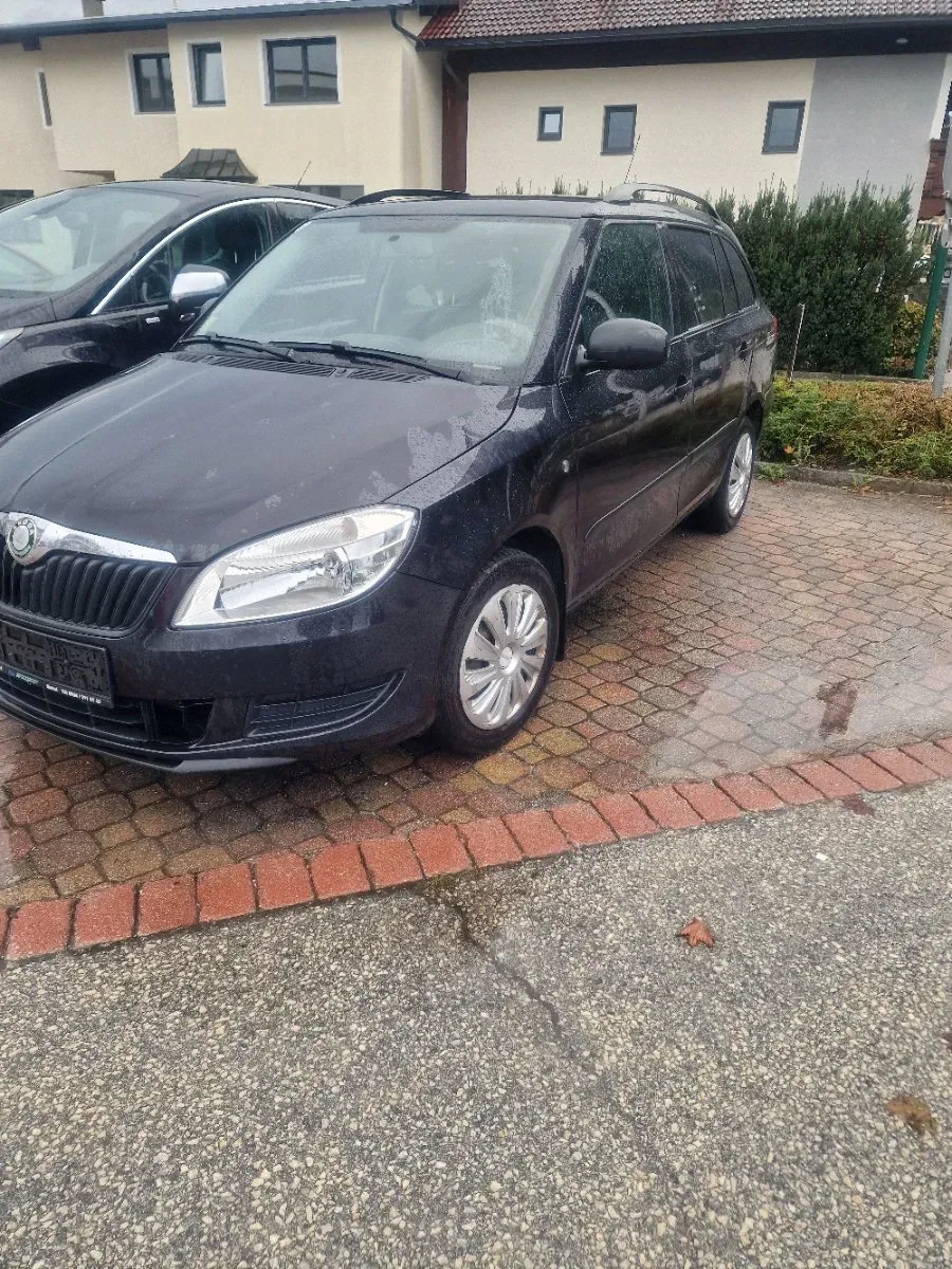 Skoda Fabia 2010 photo 2
