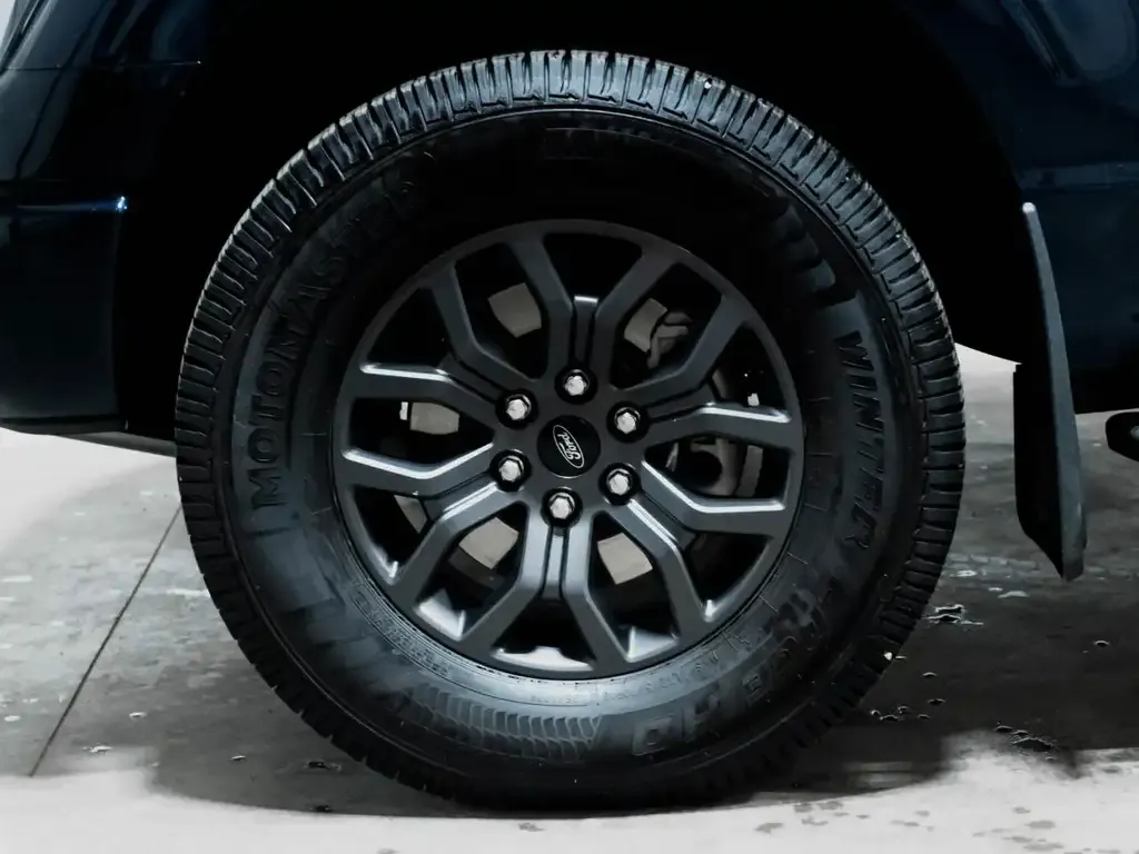 Ford F-150 2023 photo 4