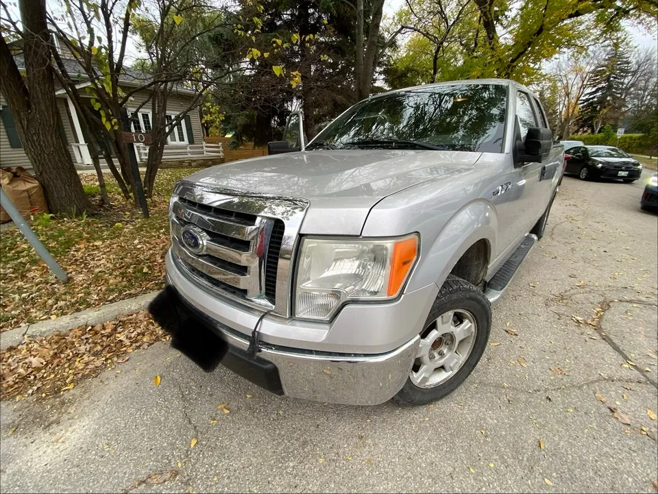 Ford F-150 2009 photo 3