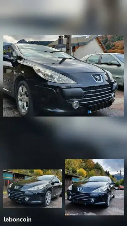 Peugeot 307 2006 photo 3