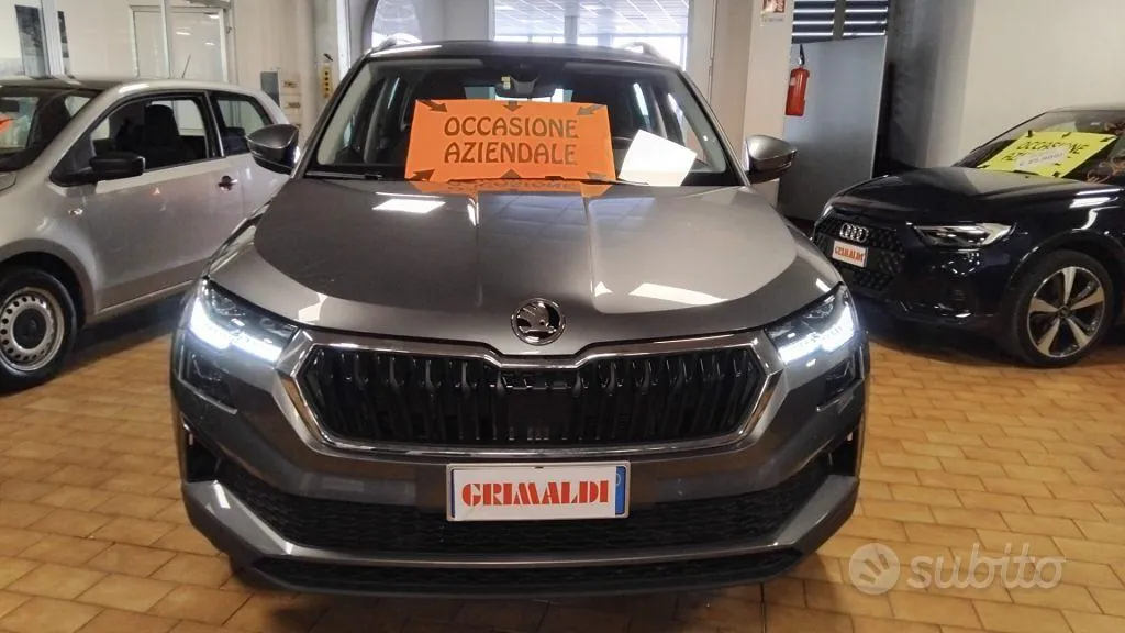 Skoda Karoq 2024 photo 2