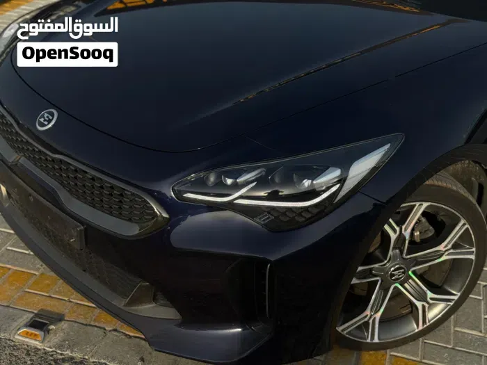Kia Stinger 2019 photo 2