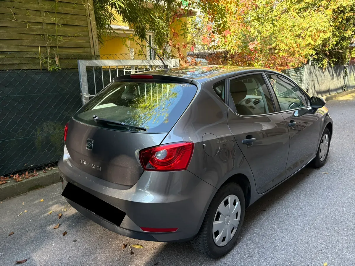 Seat Ibiza 2014 photo 2