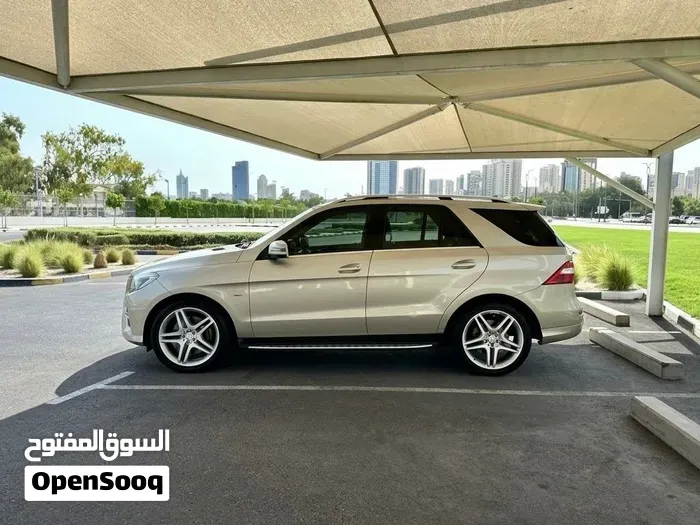 Mercedes-Benz M-Class 2013 photo 4