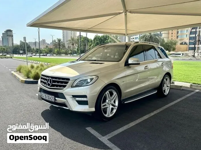 Mercedes-Benz M-Class 2013 photo 3
